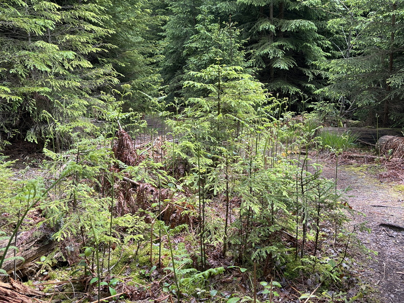 22-05-29 11-32-28 0949